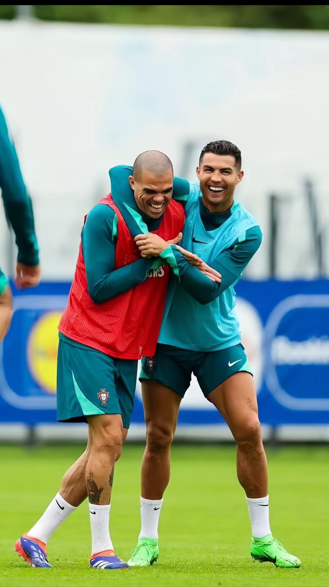 法国队轻取奥地利队,波尔关键制胜 法国队轻取奥地利队,波尔关键制胜